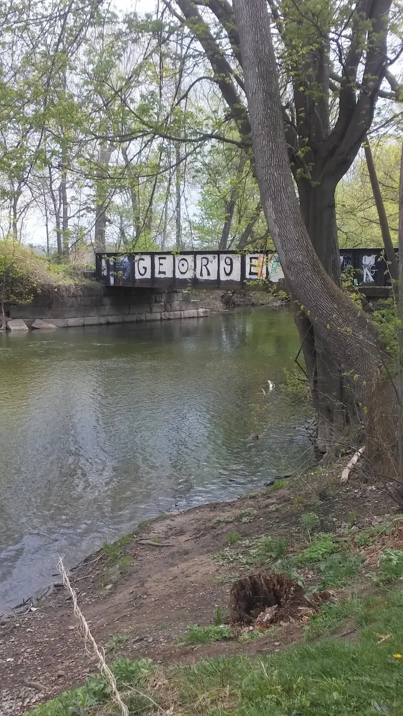 George Bridge with painted lettering above a wooded creek bank in Scottsville