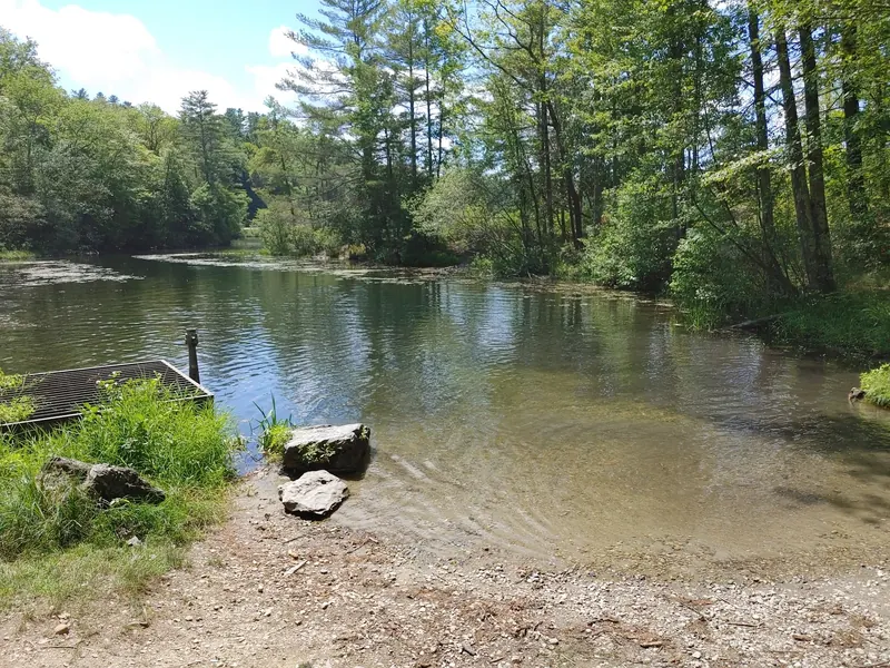 Wooded Glen Lake inlet beside rocks and a metal structure at the shore