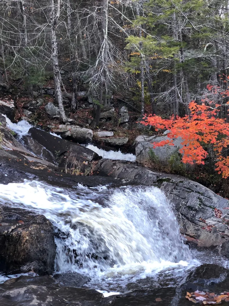 Whitewater cascading beside orange autumn leaves at Glendale Falls
