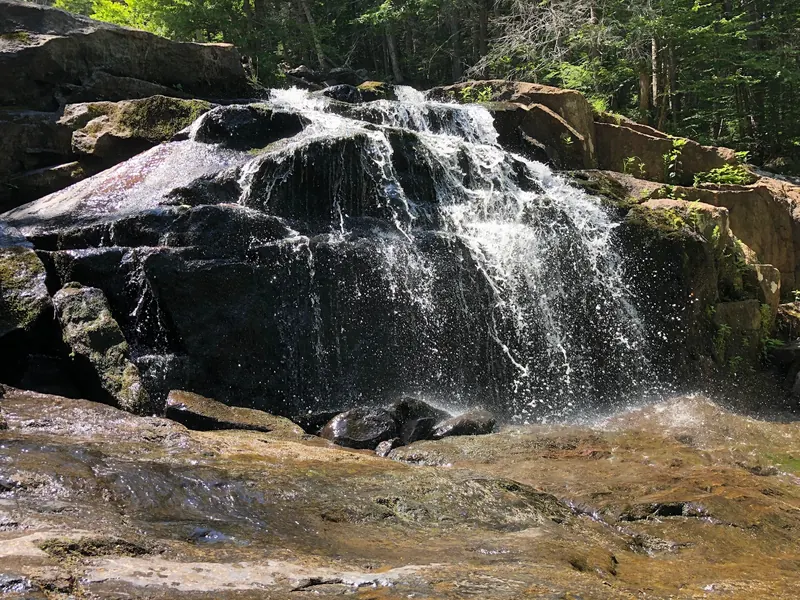 Glendale Brook cascading over dark rock ledges at Glendale Falls