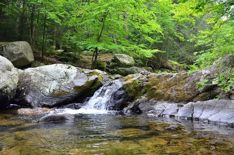 Small cascade between boulders beneath green woodland at Granville Gorge; historical visitor photo, not a verified swimming entry