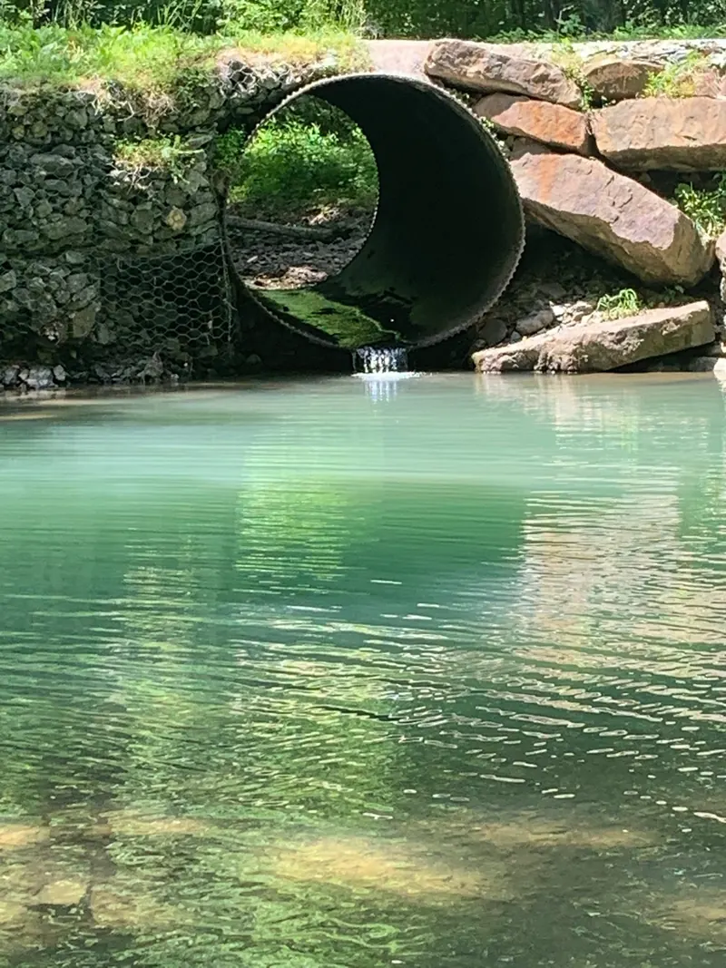Historical culvert and stone bank beside pooled creek water in the Green Ridge collection