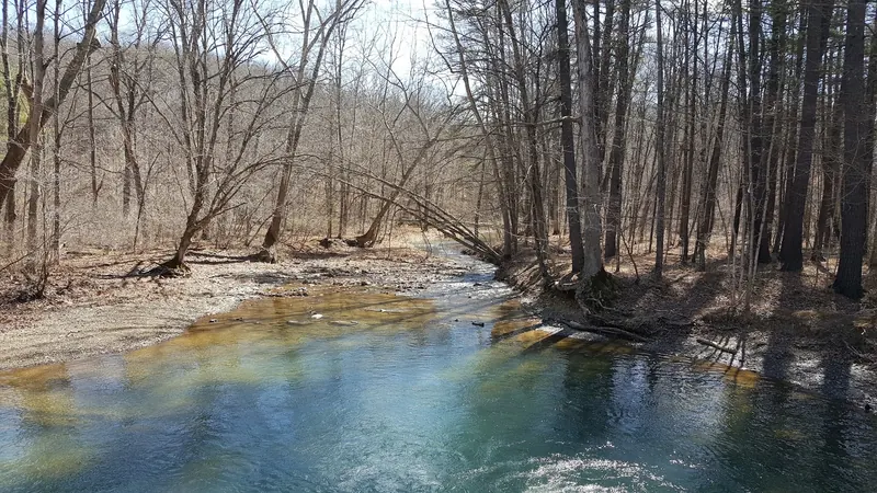 Historical creek bend beneath leafless woodland in the Green Ridge collection