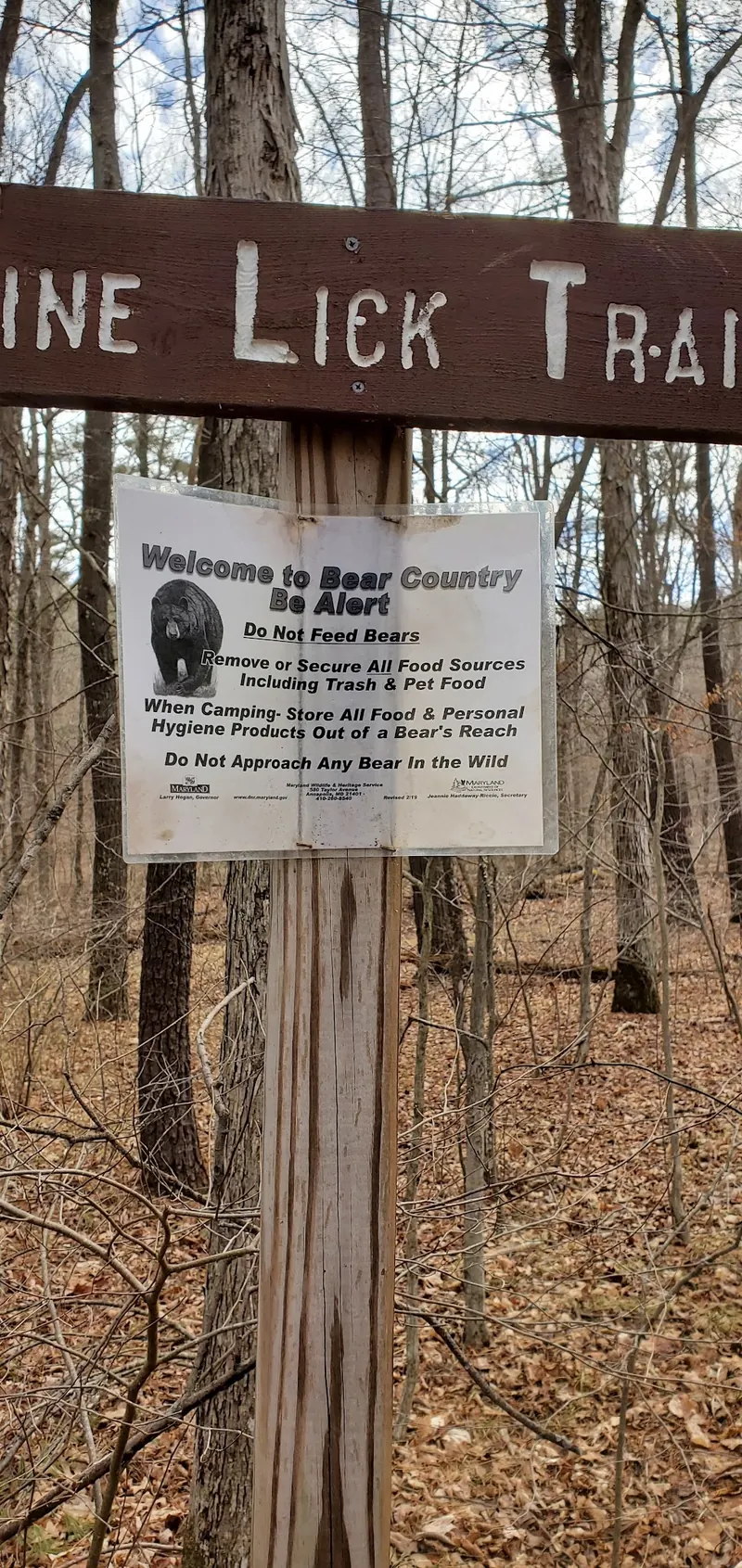 Historical Pine Lick trail sign with Maryland DNR bear-country guidance