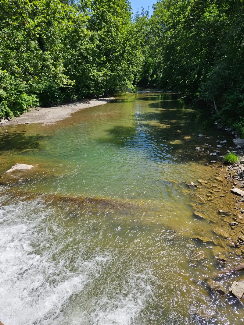 Wooded Green River channel near the recreation area; scenery view, not a designated swimming entry