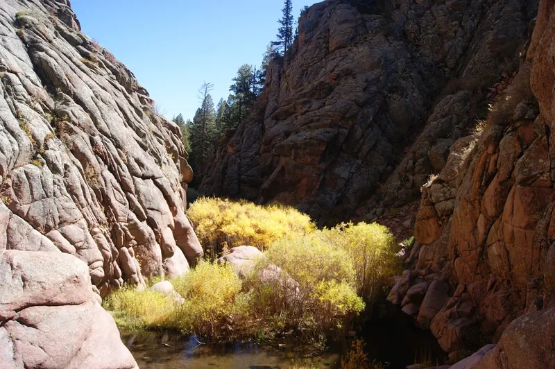 Yellow autumn shrubs beside the creek between Guffey Gorge rock walls