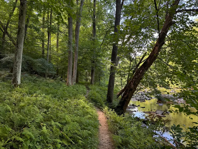 Historical fern-lined narrow bank path beside the river in the Gunpowder Falls Central Area collection