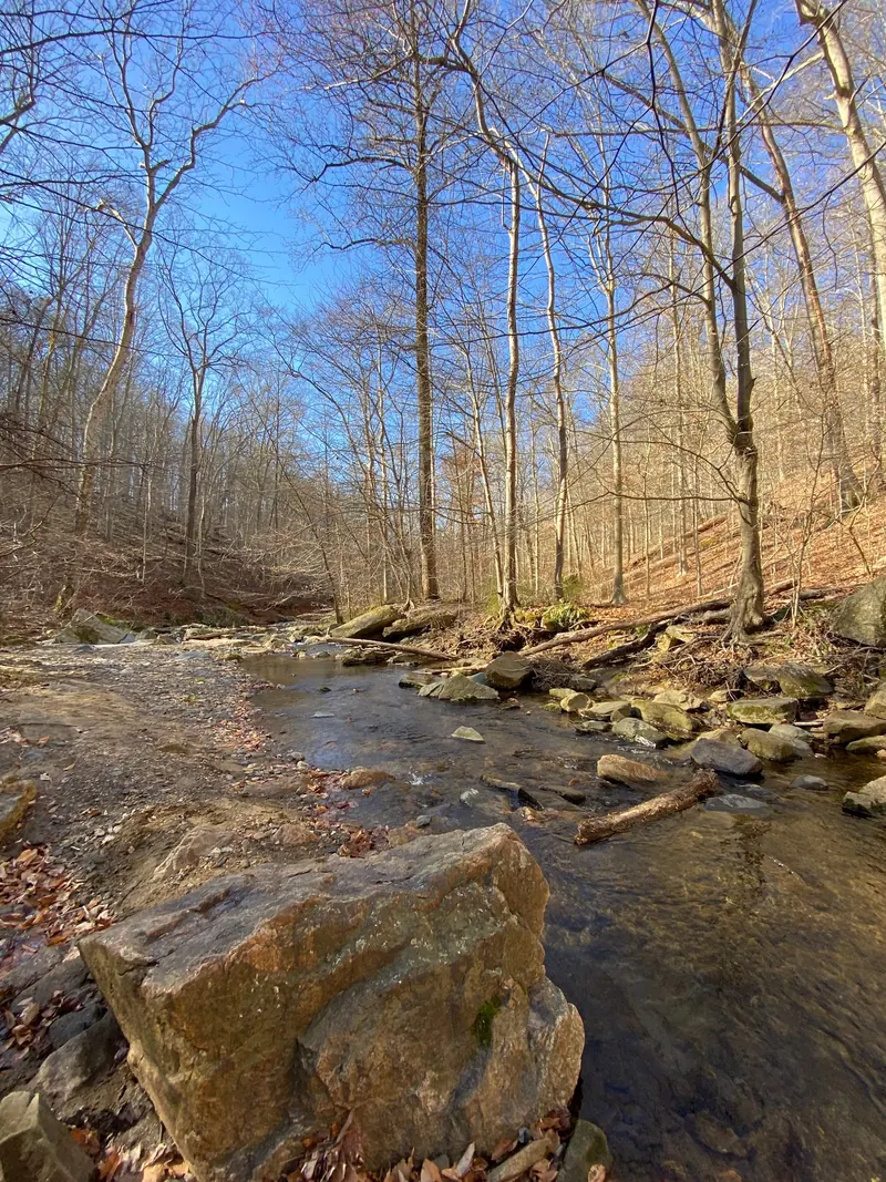 Historical stream and boulders beneath leafless woodland in the Gunpowder Falls Central Area collection