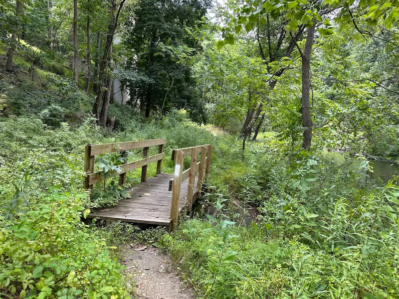 Small wooden footbridge on a riverside path in the historical Gunpowder Falls Hereford collection