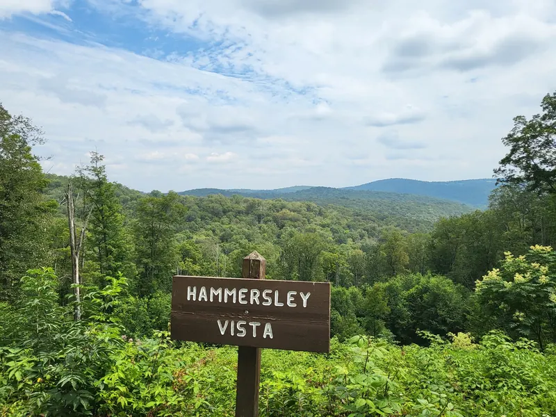 Hammersley Vista sign overlooking forested ridges in the surrounding wild area, not the pool