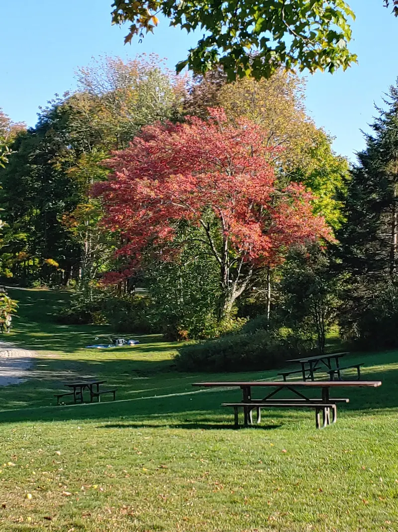 Picnic tables on a grassy slope beneath red and yellow autumn trees in the Hapgood Pond collection