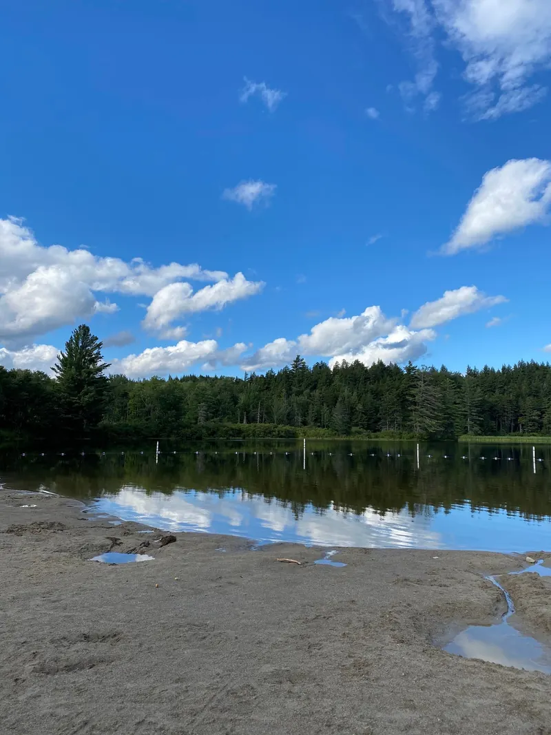 Sandy shore beside a buoy line and wooded bank at Hapgood Pond