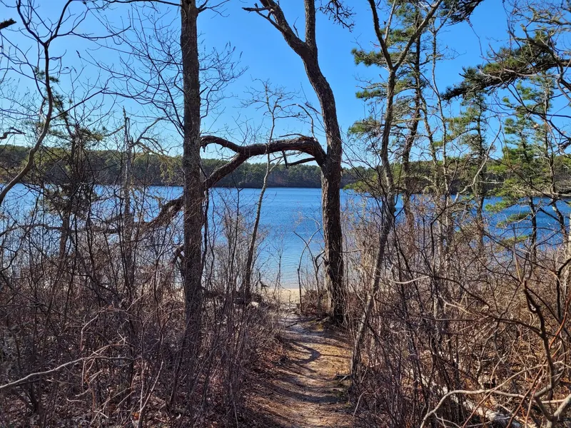 Bare trees beside a descending pond-side path in the saved Hawksnest photo collection