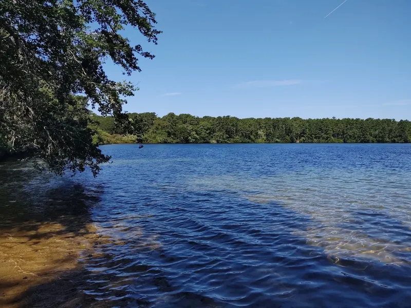 Blue pond water and a wooded shoreline in the saved Hawksnest State Park photo collection