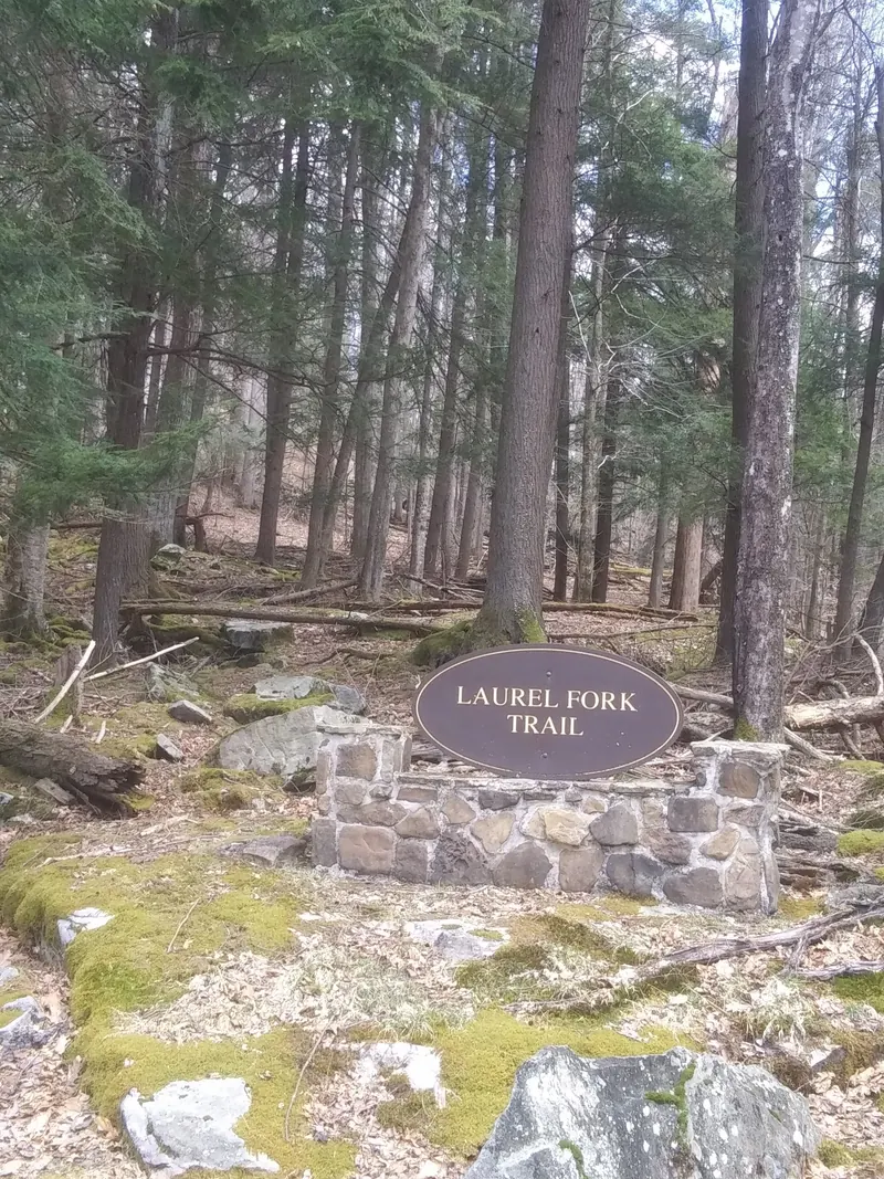 Laurel Fork Trail sign among trees at Holly River State Park; wider park trail context, not the approach to Shupe's Chute