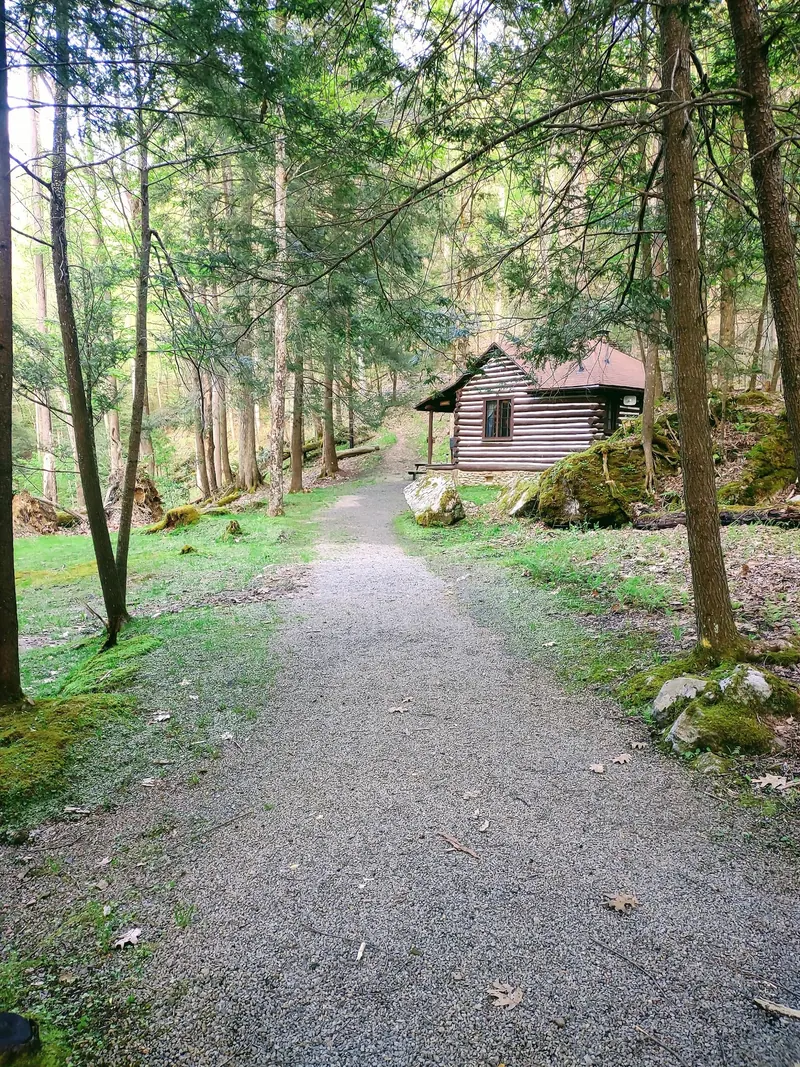 Log cabin beside a gravel path in Holly River State Park; lodging scenery, not a waterfall approach or proof of accessible water entry