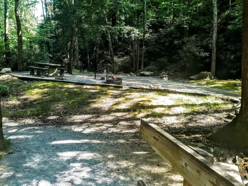 Empty wooded camp pad with a picnic table and fire ring in the Horse Creek Recreation Area collection