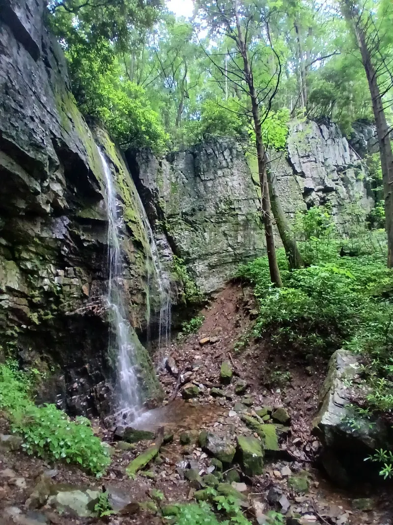 Narrow waterfall descending a wooded rock wall in the Horse Creek area photo collection