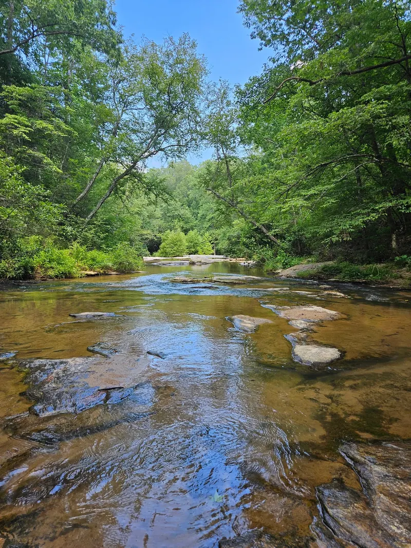 Rocky creek channel and green woodland in the Horseshoe Falls area