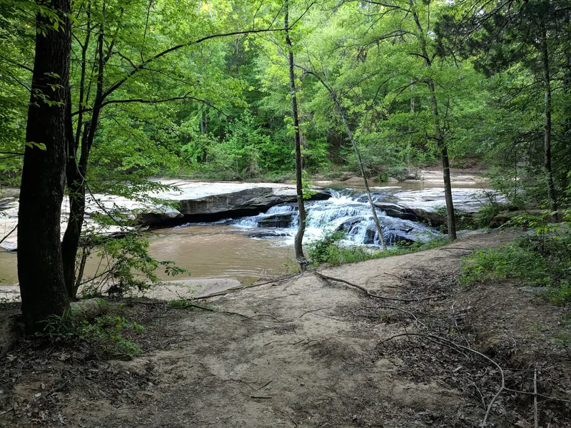 Horseshoe Falls cascade seen through leafy creek-side woodland