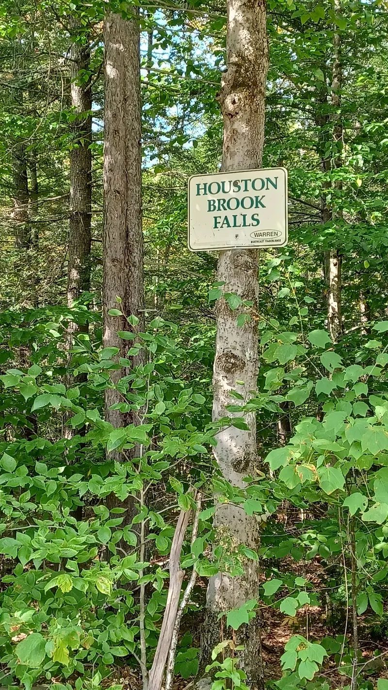 Houston Brook Falls name sign attached to a tree beside woodland in a historical photograph
