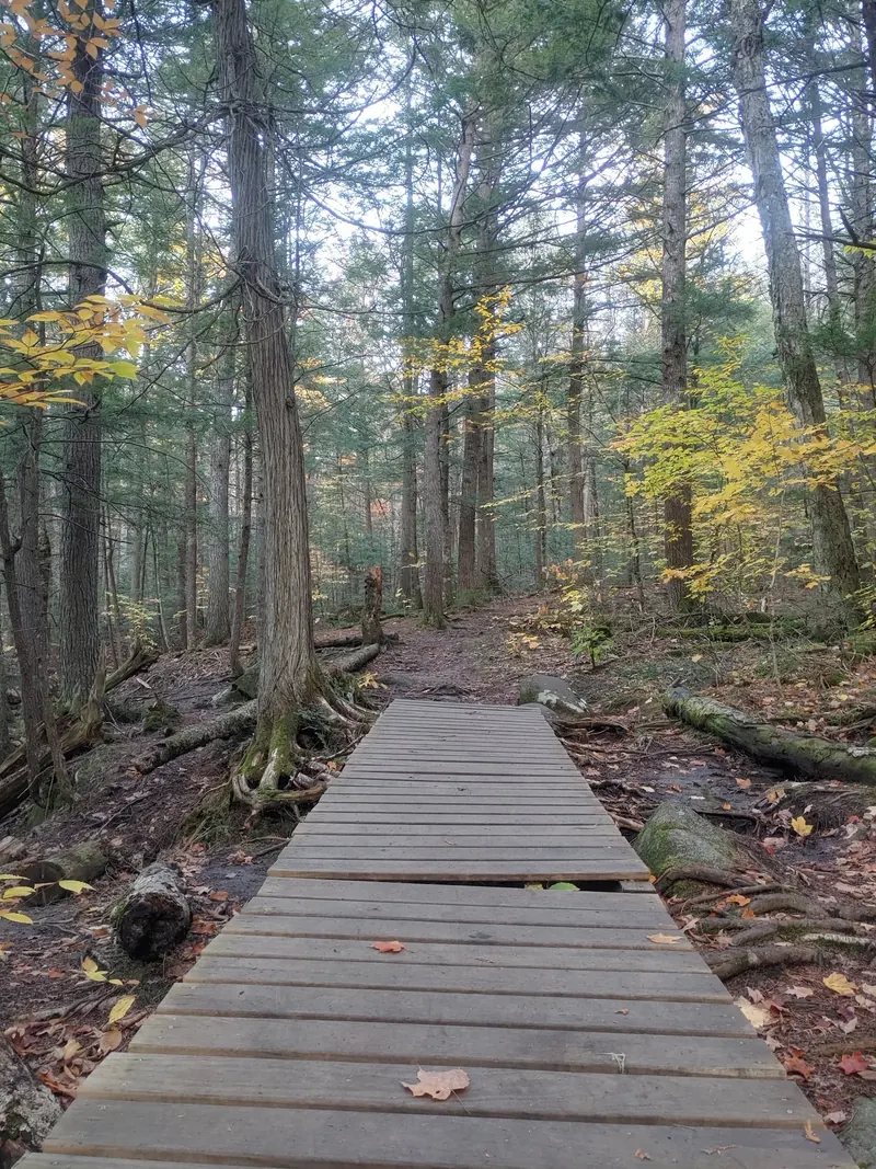 Wooden boardwalk along a wooded Houston Brook Falls approach in a historical photo, not proof of a continuous accessible route