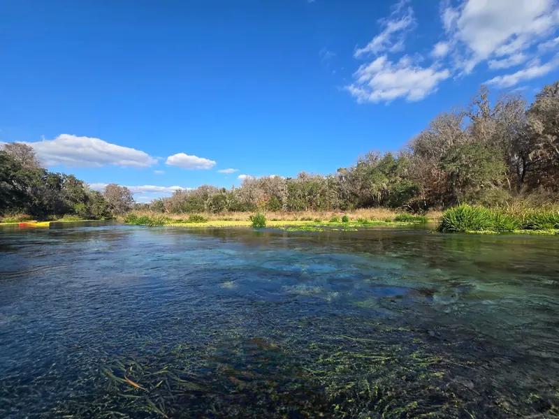Historical river scenery with aquatic vegetation and a distant kayak at Ichetucknee Springs State Park; not a designated swimming-entry location