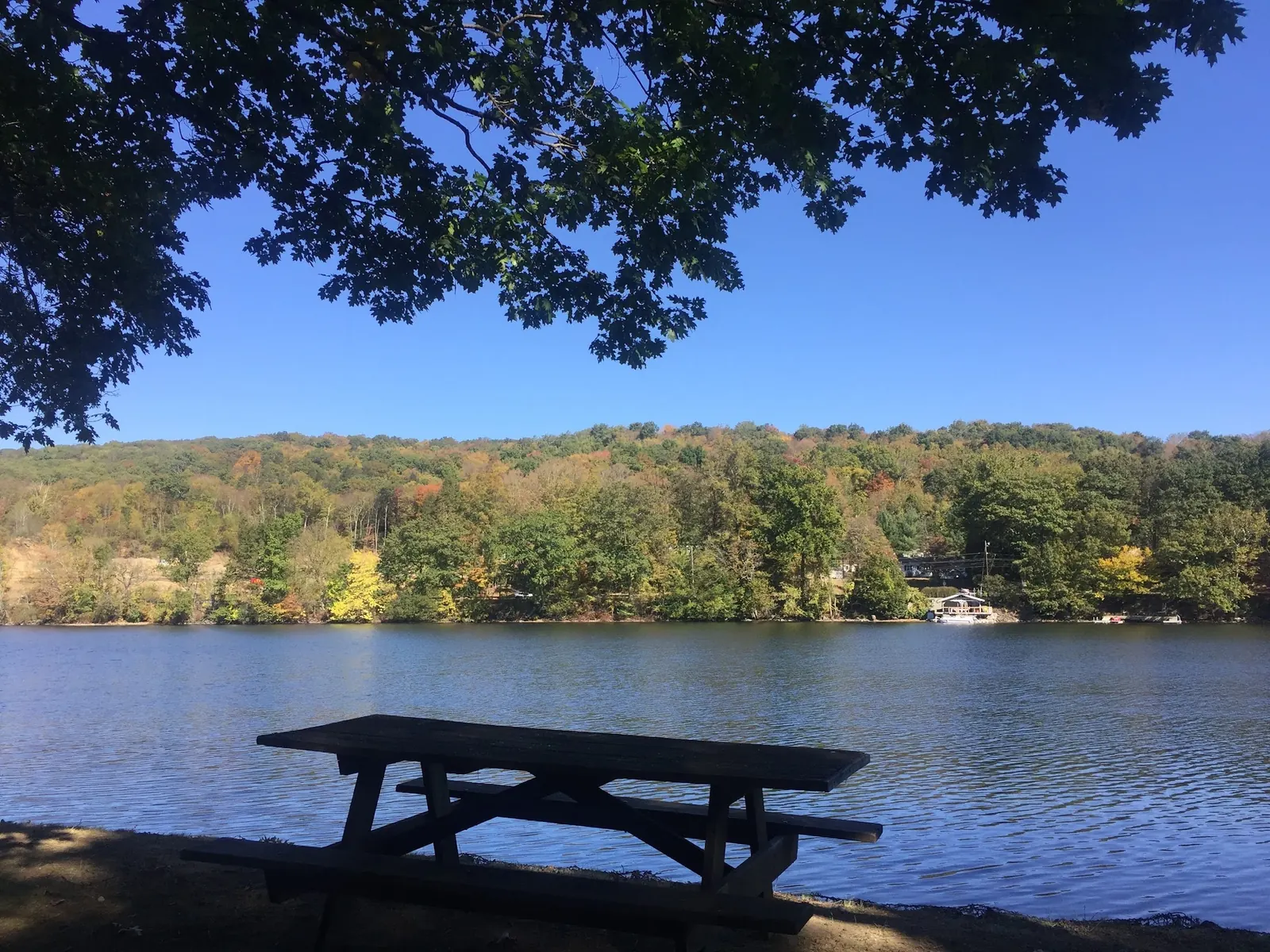 A shaded picnic table overlooking the Housatonic River at Indian Well State Park