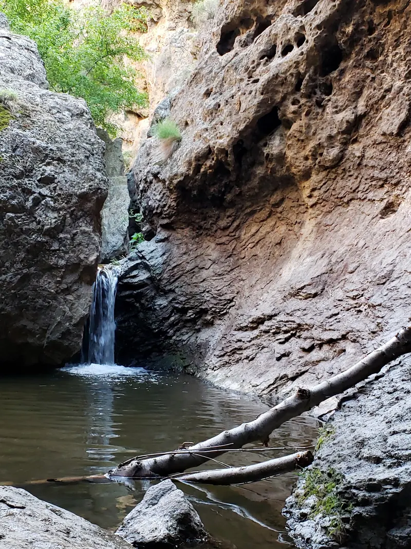 Historical Jump Creek waterfall between textured canyon walls with fallen branches beside the pool; not current water depth or a safe entry route