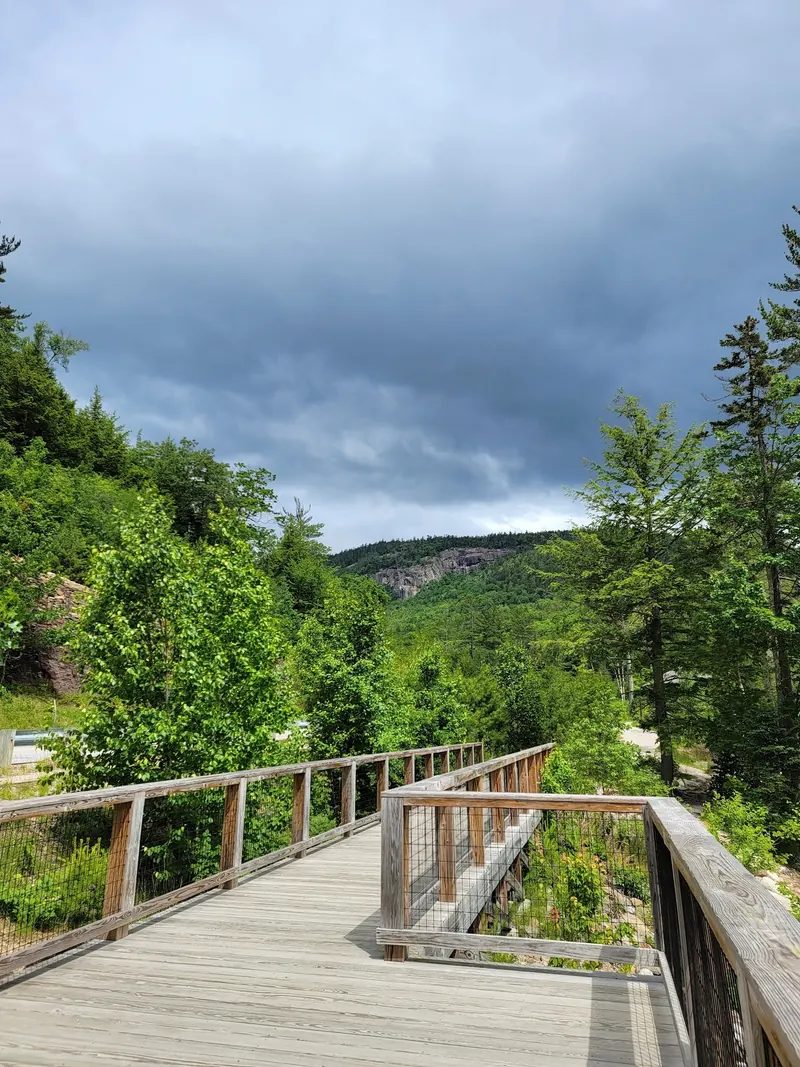 Wooden boardwalk with railings, trees and a distant rocky ridge in the Lower Falls collection