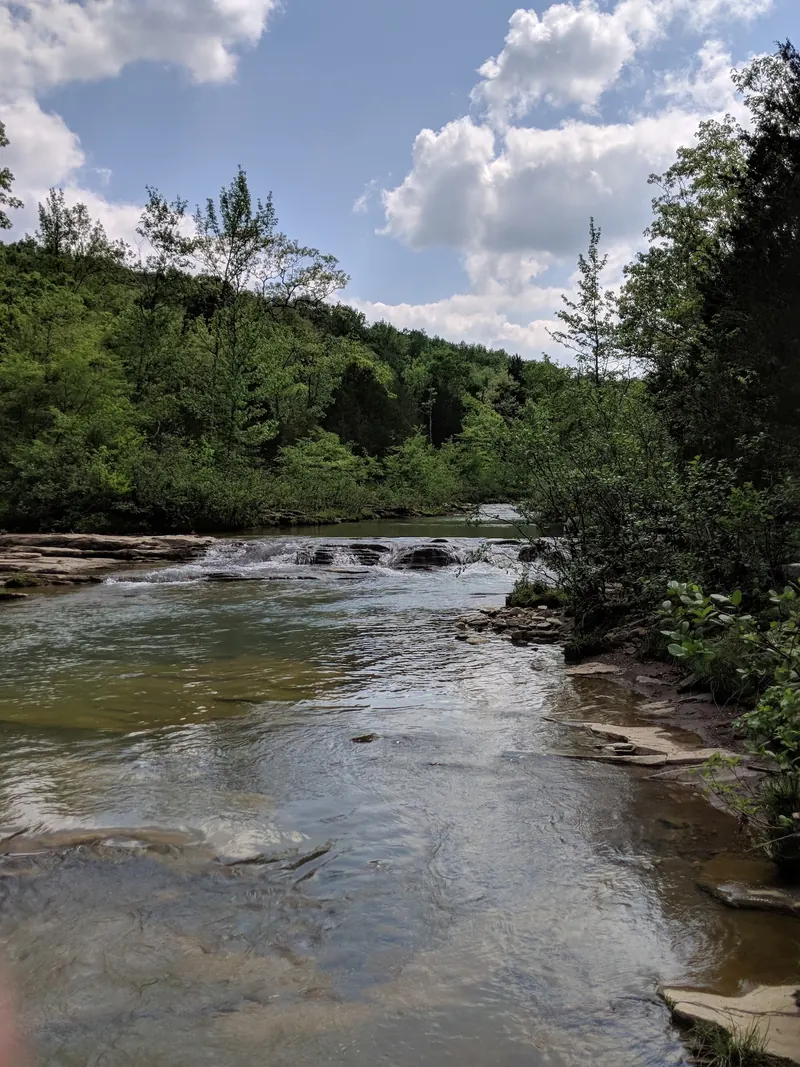 Low waterfall and broad creek foreground framed by green trees in the Kings River Falls collection; historical scenery, not a water-entry guide