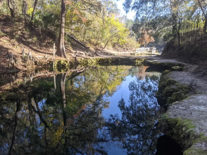 Historical Lafayette Blue Springs pool reflecting yellow foliage, with stairs and a wooden bridge in the background; not current water conditions