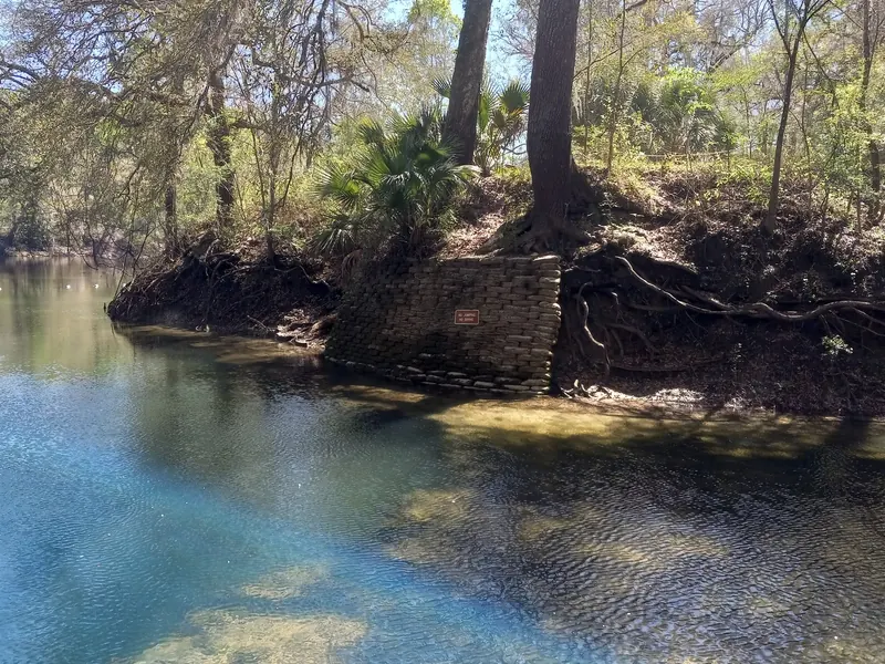 Historical stone-bank view with a no-jumping and no-diving sign beside Lafayette Blue Springs water