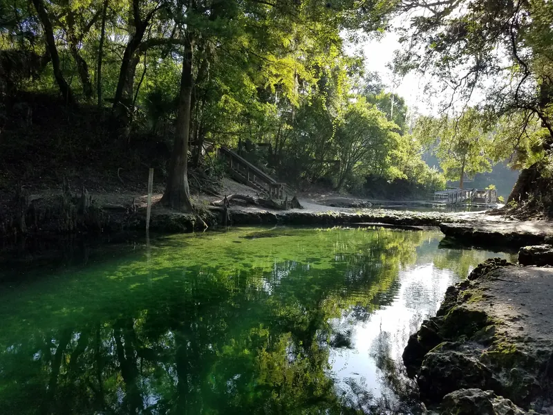 Tree reflections in the spring pool beside limestone banks and wooden stairs at Lafayette Blue Springs State Park