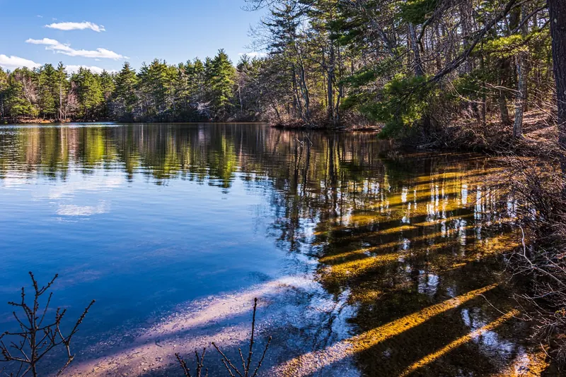 Sunlit wooded shore reflected in blue water in the saved Mashapaug Lake collection