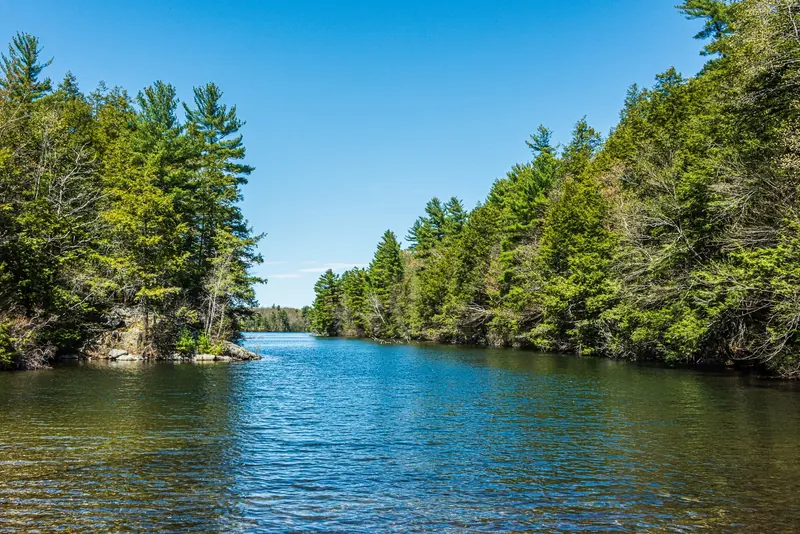 Blue water between wooded shores in the saved Mashapaug Lake photo set