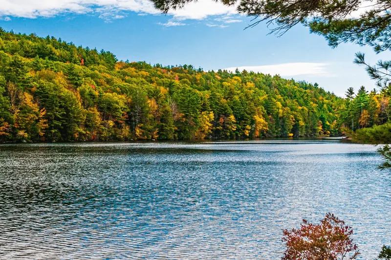 Autumn trees lining the lake in the saved Mashapaug Lake photo set