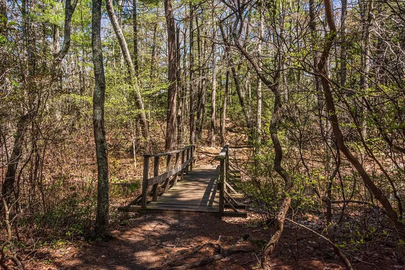 Wooden footbridge on a leaf-covered woodland path in the Mashapaug Lake collection, not a verified swimming route