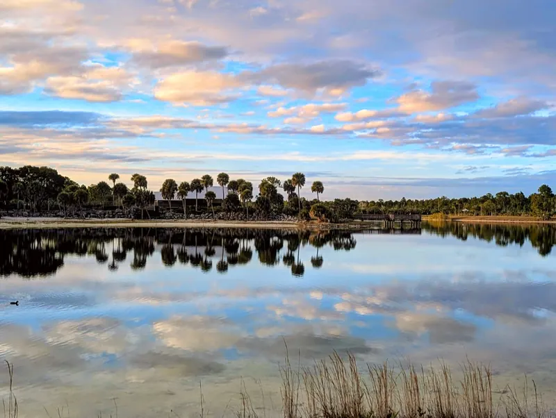 Larry and Penny Thompson park lake reflecting palms and clouds beside the sandy visitor shoreline