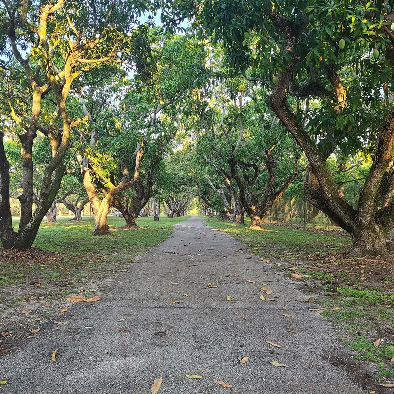 Shaded paved path beneath trees in the Larry and Penny Thompson park photo set; not a verified beach-entry route