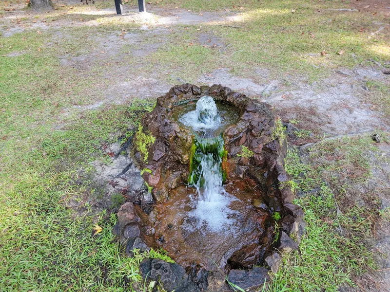 Water flowing from a small stone-lined artesian well in the Lee State Park photo collection, not a verified swimming entrance