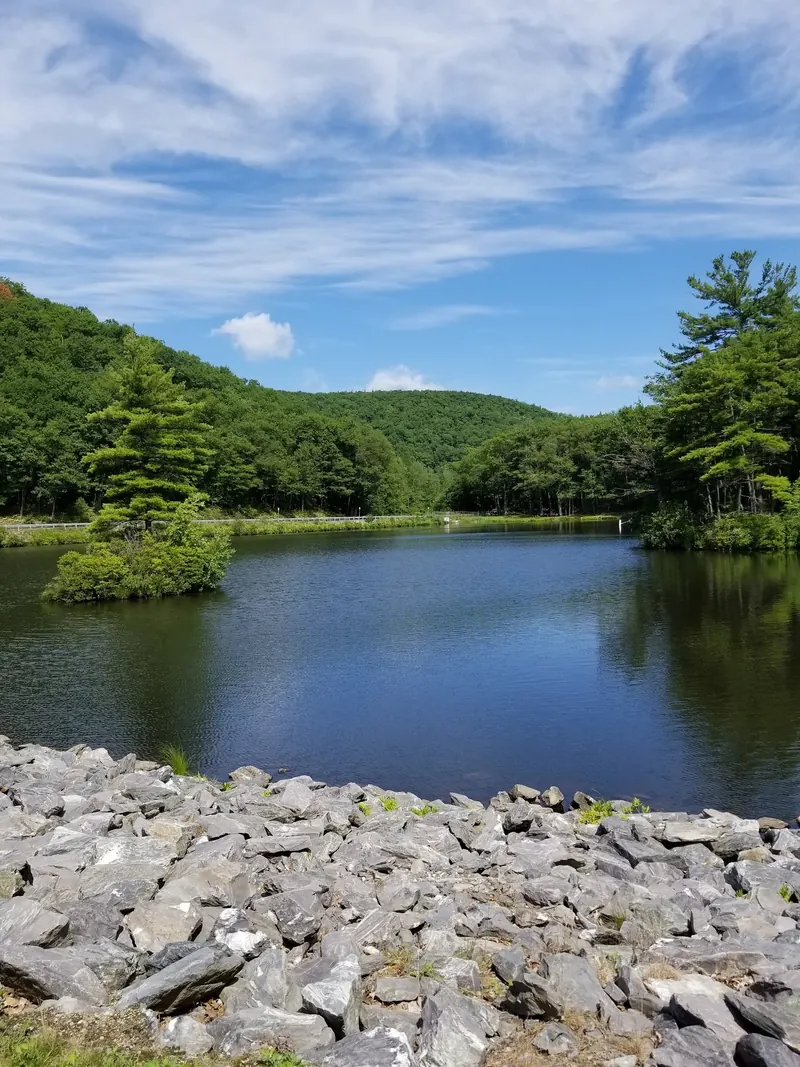 Rock-lined pond shore and wooded hills in a saved Leominster State Forest photo