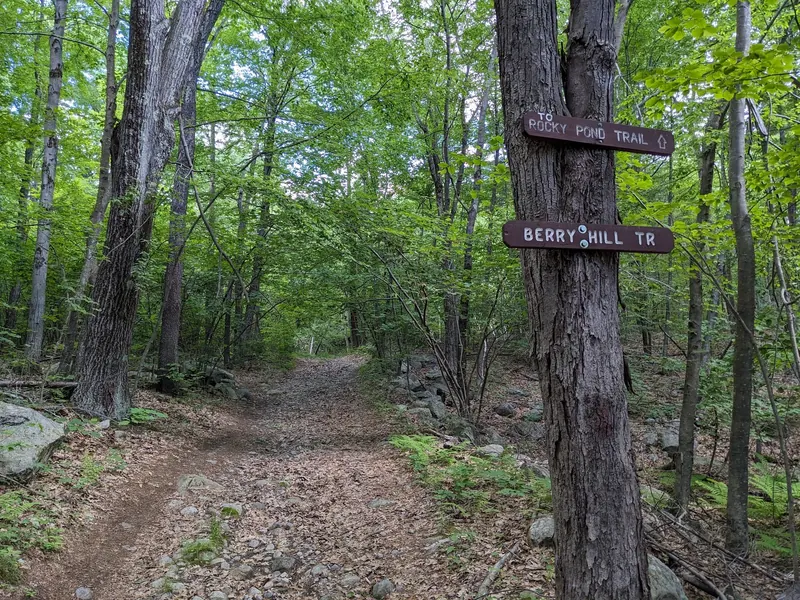 Rocky Pond Trail and Berry Hill Trail signs in woodland, not directions to the swimming beach