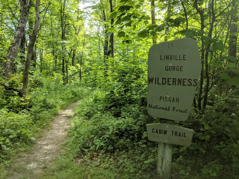 Linville Gorge Wilderness and Cabin Trail signs beside a wooded footpath