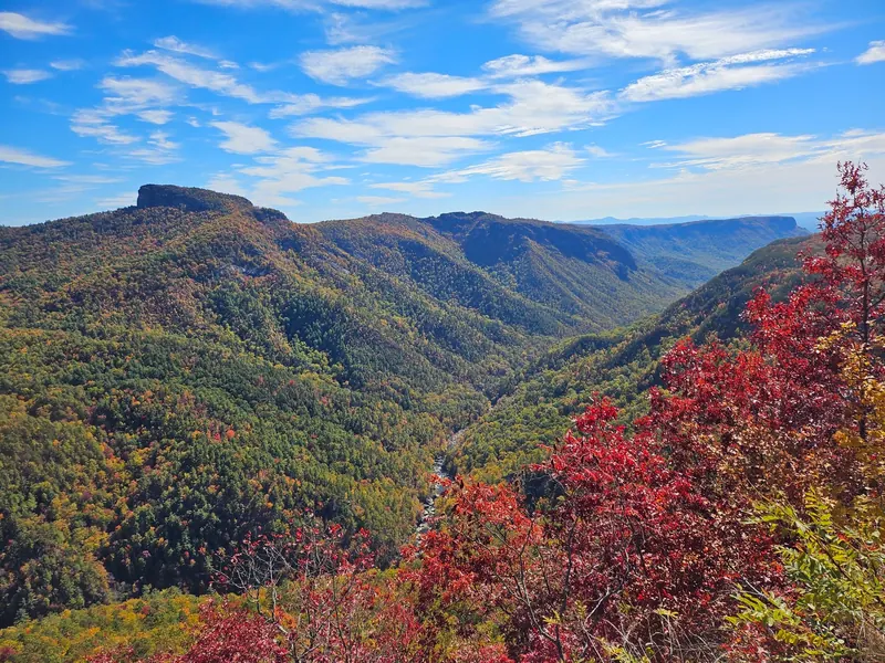 Autumn foliage above the deep forested Linville Gorge with the river visible below