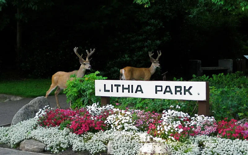 Lithia Park entrance sign with flowers and two deer nearby