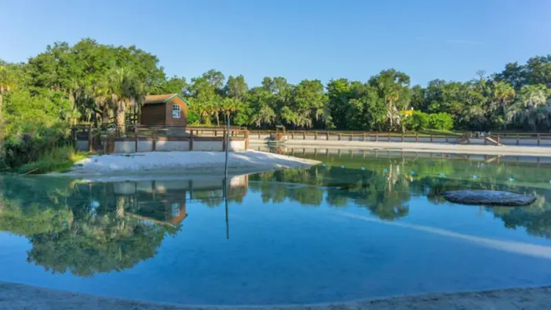 Lithia Springs basin bordered by wooden railings, pale sandy banks and trees