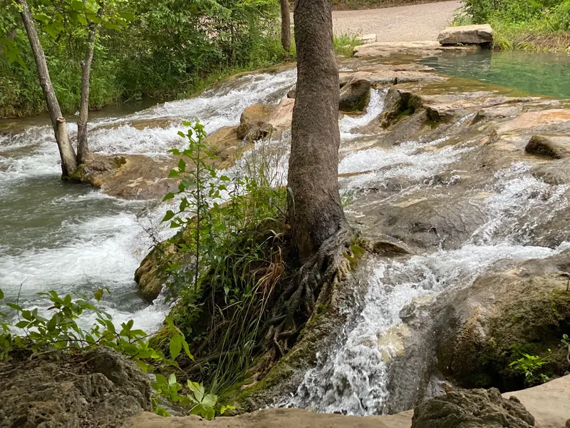 Flowing water around trees and exposed rock channels in the Little Niagara area