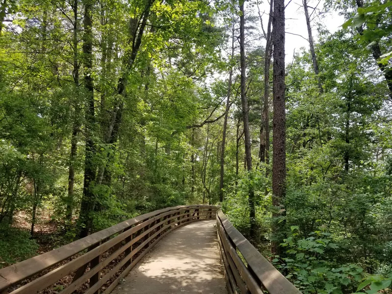Wooden boardwalk through woodland in the Little River Falls photo set; not a river-entry route