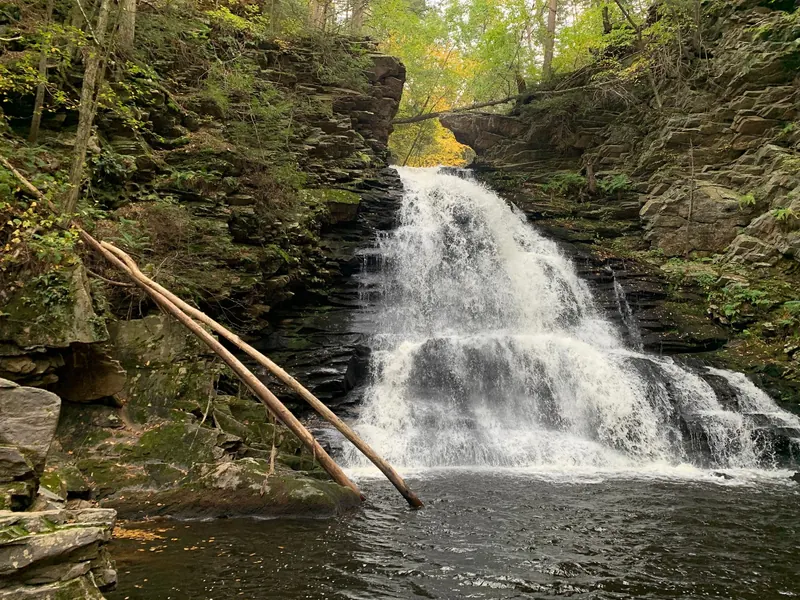 Little Shickshinny Falls flowing between layered rock walls beneath autumn trees